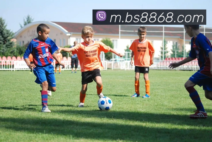 百胜彩票官网平台登录入口服务体系